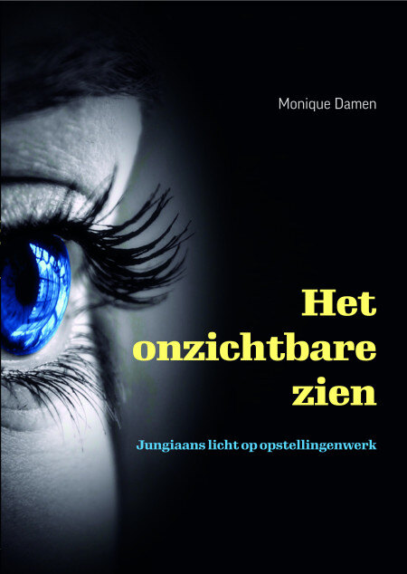 Omslag Het onzichtbare zien